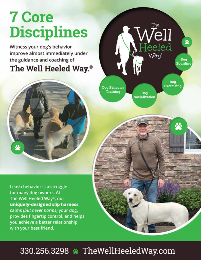The Well Heeled Way Graphic Design - Brochure