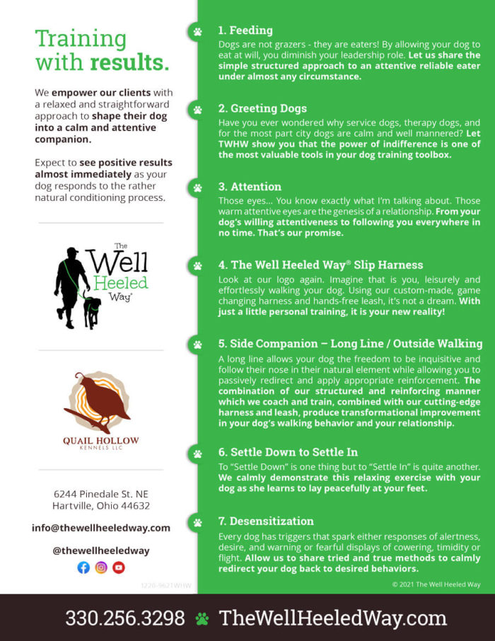 The Well Heeled Way Graphic Design - Brochure