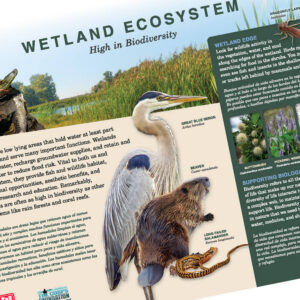 US Army Corp of Engineers Interpretive Sign Design